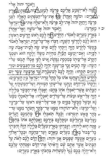Fig. 1. “Maimonides” en Éxodo