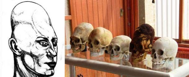 Cráneos de Paracas, Perú