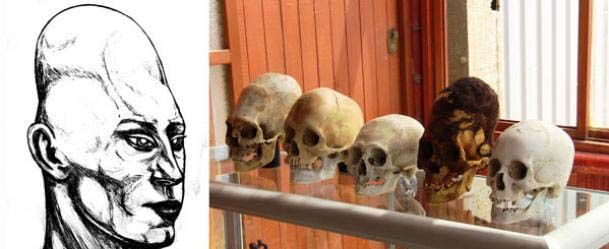 Cráneos de Paracas, Perú