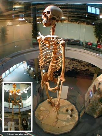 Esqueleto de más de 7.0 metros que se le puede visitar en el Mystery Park en Interlaken – Suiza, 

