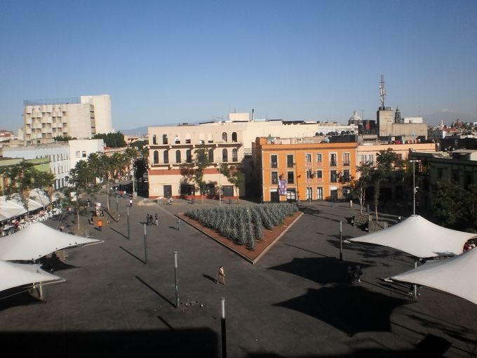 Panorámica de la Plaza Garibaldi