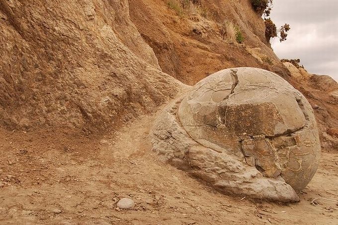 Las Misteriosas Esferas de Piedra “MOERAKI” de Nueva Zelanda.