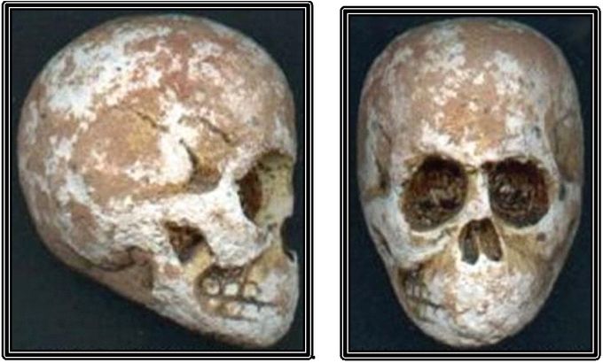 Un cráneo de 360 millones de años fue hallado en Marruecos en estratos del periodo Devónico; por los estudios científicos realizados con Tomografía Computarizada, se comprobó que corresponde a un ser del género Homo adulto (dientes gastados), aunque su tamaño es solamente de 18.5 cm de circunferencia,  siendo  que  la  de  los  humanos  actuales  son  de  alrededor  de 52 cm.