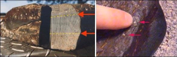 Las pruebas hechas por los laboratorios de Galbraith en Knoxville, Tennessee, demostraron que la muestra contenía más 0.7% carbono orgánico, consistente con la madera fosilizada. Por lo que la muestra alguna vez fue materia viviente.
