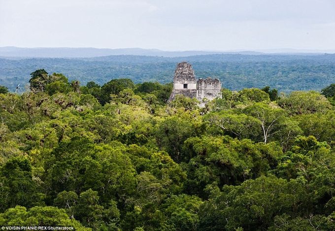 Los primeros asentamientos mayas fueron construidos alrededor del año 1,000 a. C, y una gran mayoría de las ciudades mayas se derrumbaron por el año 900d.C. Encontraron que algunas 60,000 estructuras fueron encontradas en los últimos dos años.