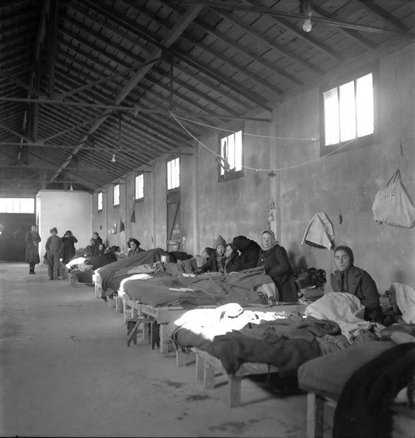 Barracón en el campo de concentración de Rivesaltes
(1941 circa) Fotografía. Memorial de Rivesaltes (Francia)